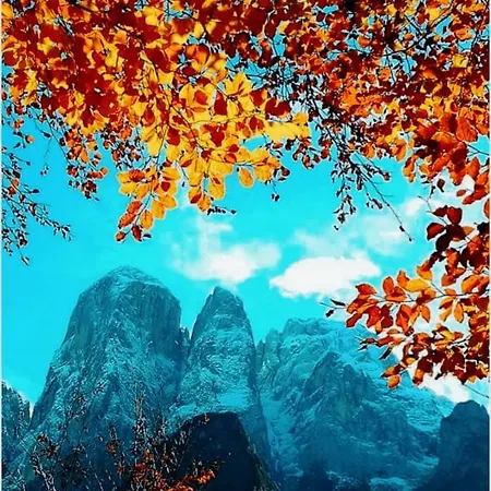 Camere Nordest Sudest Dolomiti 3*