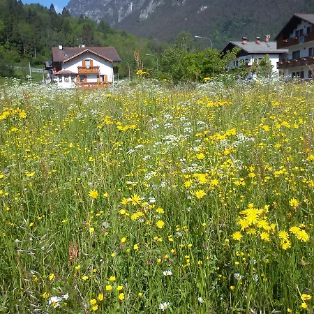 Gasthof Camere Nordest Sudest Dolomiti Agordo