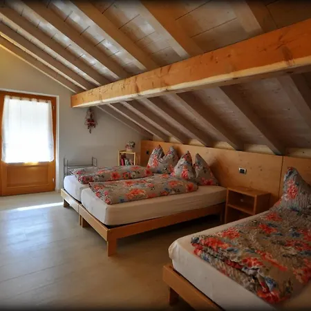 בית הארחה Camere Nordest Sudest Dolomiti אגורדו